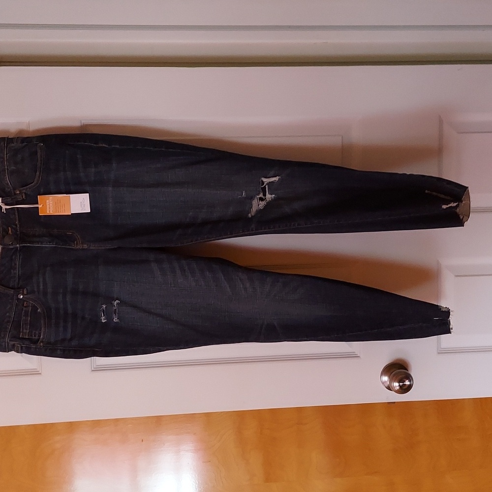 Lane Bryant skinny jeans